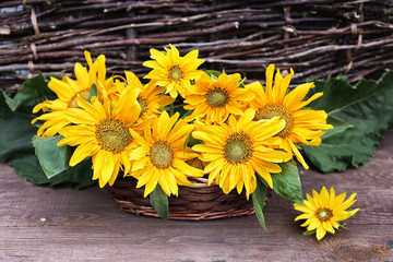 Rustic still life. Sunflowers in a basket