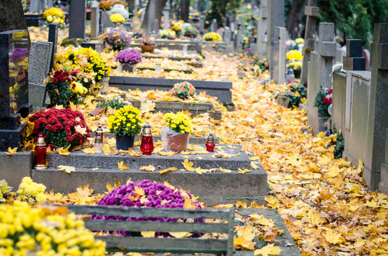 graves in cemetery covered  by leaves