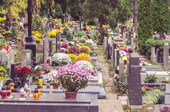 cemetery decorated at All Saints Day time