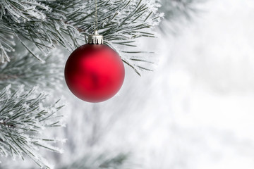 Christmas decorations on the pine branch