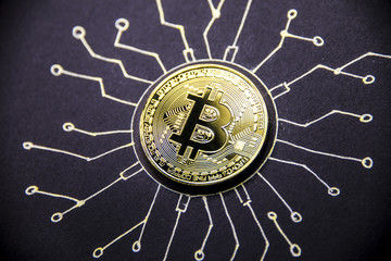 Gold coin Bitcoin lies on the painted chip