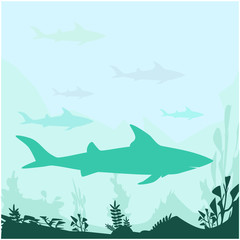 Fototapeta na wymiar Shark vector silhouette, danger fish, danger on the beach