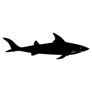 Shark vector silhouette, danger fish, danger on the beach