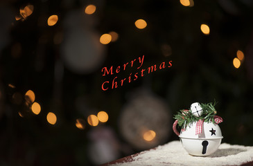 Merry Christmas ball