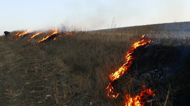 a farmer burns grass and stubble in the land,
burning stubble and herbs in the land damages nature and wildlife,

