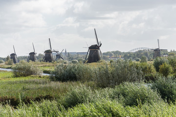 Kinderdijk, Netherland