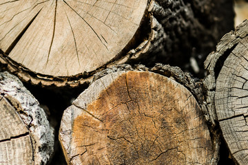 Naklejka premium Brown logs made of wood