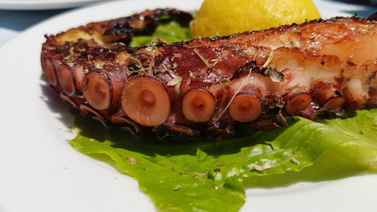 Grilled seafood plate served with salad