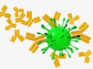 Virus and antibodies close-up,
3d rendering

