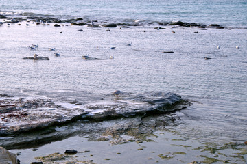 Белое безмолвие. Зимний Каспий