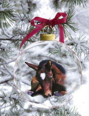 Newborn Foal in Holiday Ornament