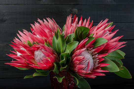 Bunch of red artichoke protea