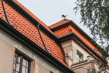 tiled roof of an old house in the autumn afternoon
