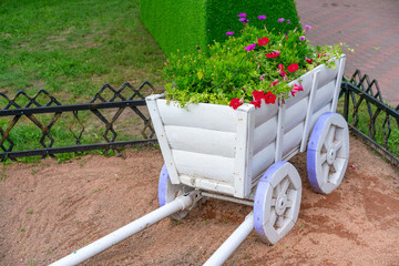  small, home made  horse-car with flowers