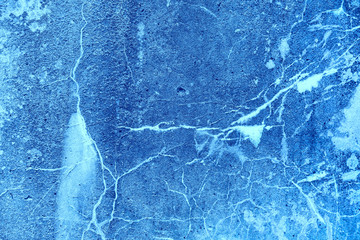 Wall with a texture of plaster. Beautiful unusual background. Vintage wall with painted abstract flowers