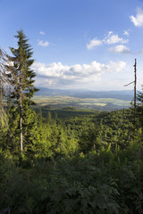 View on mountain Peaks and alpine Landscape of the High Tatras, Slovakia