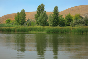 Fototapeta premium hilly river bank