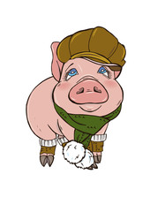 Pig in winter clothes hat and scarf, vector illustration