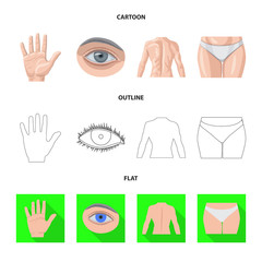 Vector design of human and part sign. Collection of human and woman vector icon for stock.
