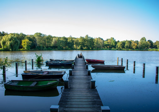 Junges Mädchen und ihr Hund sitzen gemeinsam auf einen Bootssteg und schauen einheitlich auf das Wasser. Standort: Deutschland, Nordrhein Westfalen,