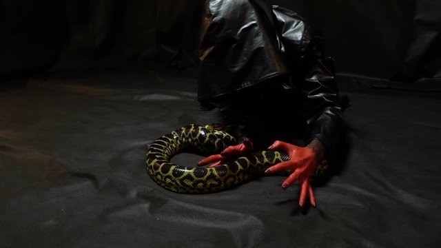 Crawling snake and girl in black