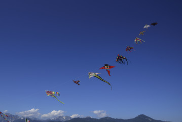 Colorful kites fly high in the blue sky
