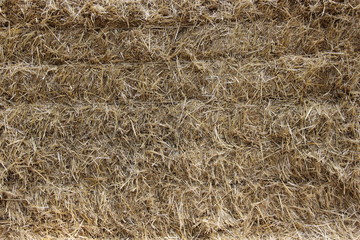 background of dry straw