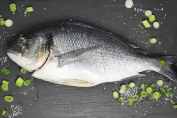 Whole Sea Bream on slate