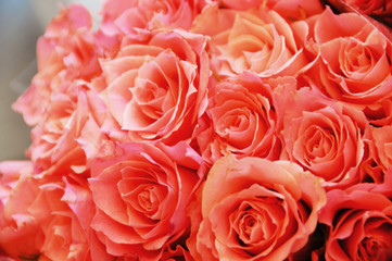 Pink Roses Bouquet