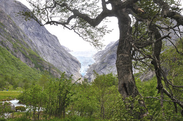 glacier jostedal