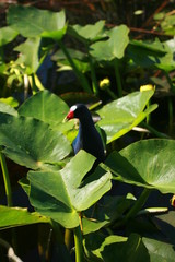bird on a branch