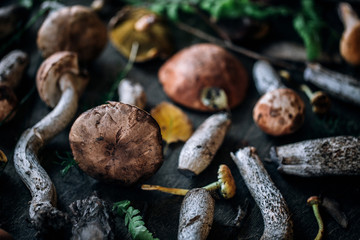Forest mushrooms