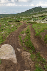Amazing Panorama of Vitosha Mountain near Cherni Vrah Peak, Sofia City Region, Bulgaria