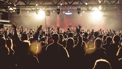 The crowd in a concert