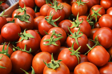 Red tomatoes