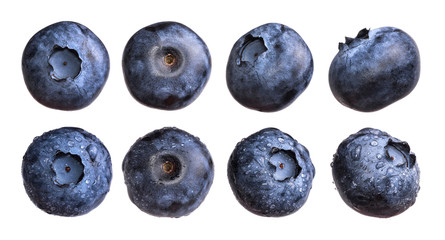 Set of fresh blueberry with water drops isolated on white background. © Ludaiv