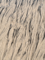 Beautiful wavy lines form by water on sandy beach