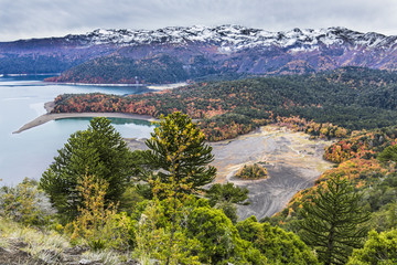 Obraz na płótnie Canvas A view during Autumn Season of the incredible rainforests full of colors over the trees above the mountain lakes at Conguillio National Park an amazing colorful landscape, Chile