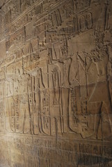 Fototapeta na wymiar Egyptian Hieroglyphic Writing