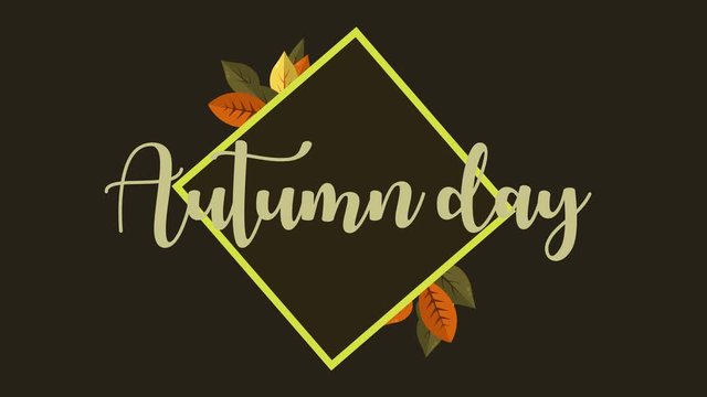 Autumn day season with leaf footage collection