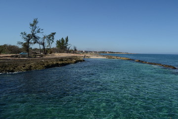 Obraz premium beach with palm trees