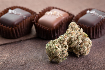 Marijuana buds on wood, with row of gourmet chocolate caramels in the background