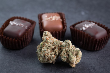 Bud of marijuana with gourmet chocolate caramels in the background