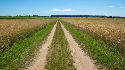 Fototapeta na wymiar Sandy road through fields in Poland