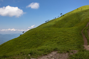 Obraz premium Wugongshan National Park of China - Pingxiang Wugong Mountain Scenery in Jiangxi Province, China. Lush green alpine grassland, high altitude alpine meadow. Exotic Mountains of China, Hiking, Camping