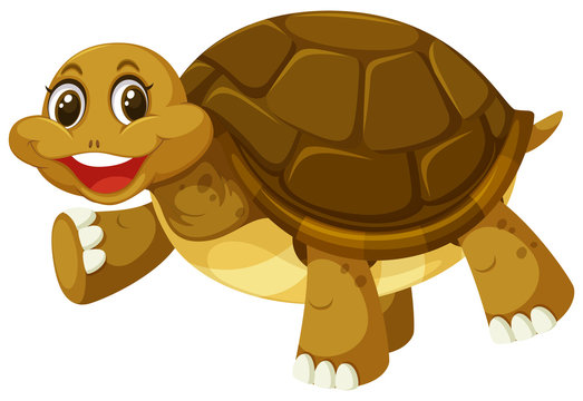 A smiley turtle on white background
