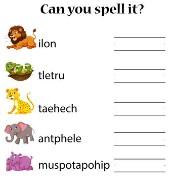 Animals spell word worksheet