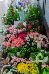 Fototapeta na wymiar Flowers from Italian street vendor