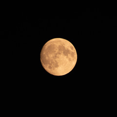 The Moon