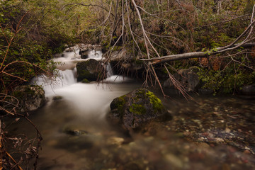 Long Exposure Stream in Los Alerces National Park, Patagonia, Argentina